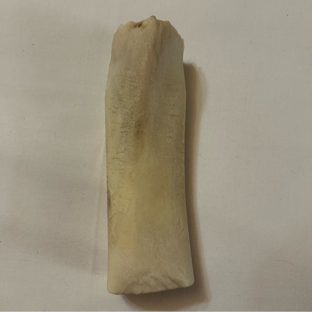 🐕‍🦺3 for $20 - Natural Chew Bone